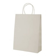 Papirnata vrečica Store