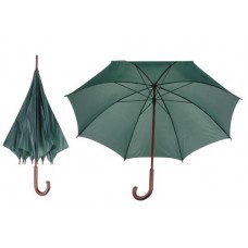 Ki&scaron;obran Luton